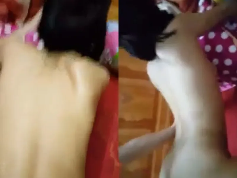 Cứ im lặng em hưởng thụ